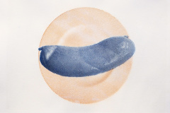 Gumprint 2020